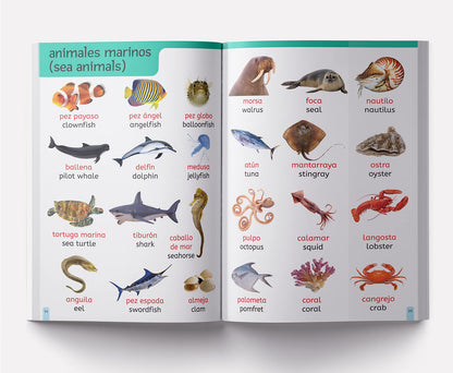 My First 1000 English-Espa?ol Words: Early Learning Bilingual Picture Book For Kids
