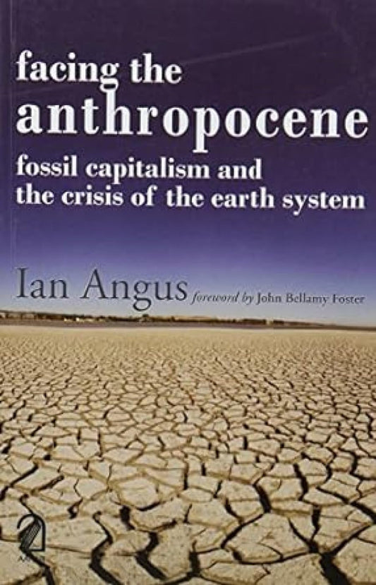 FACING THE ANTHROPOCENE: Fossil Capitalism and the Crisis of the Earth System
 book cover