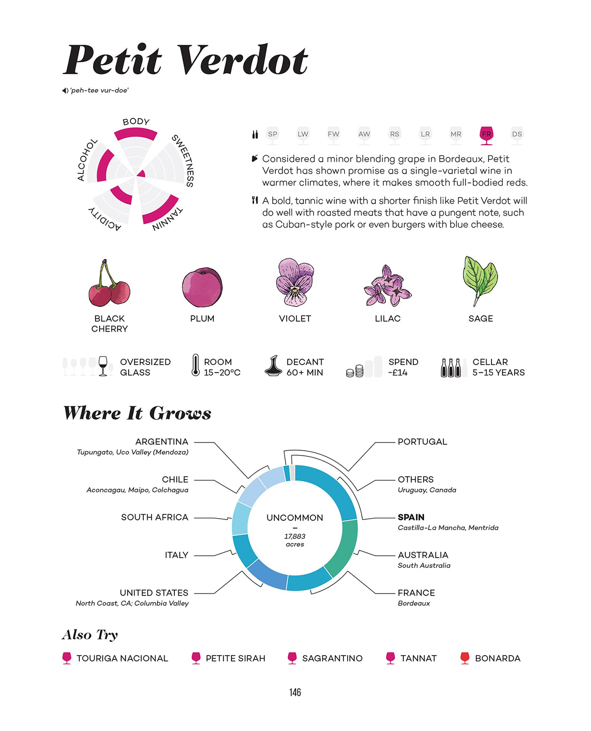 Wine Folly: Magnum Edition: The Master Guide
