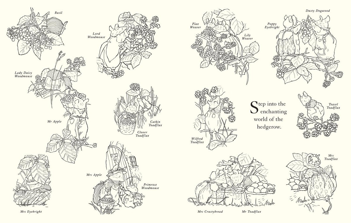 Brambly Hedge: Festive Colouring Book: A magically festive colouring book for children and adults alike packed with classic illustrations for all