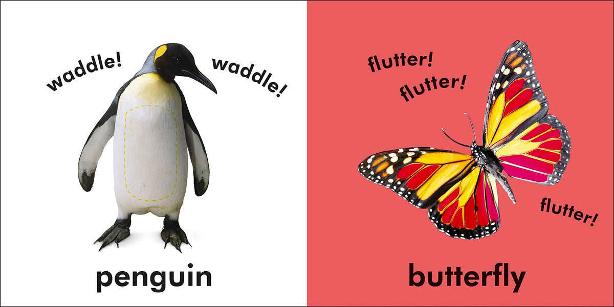 Baby Touch and Feel Animals