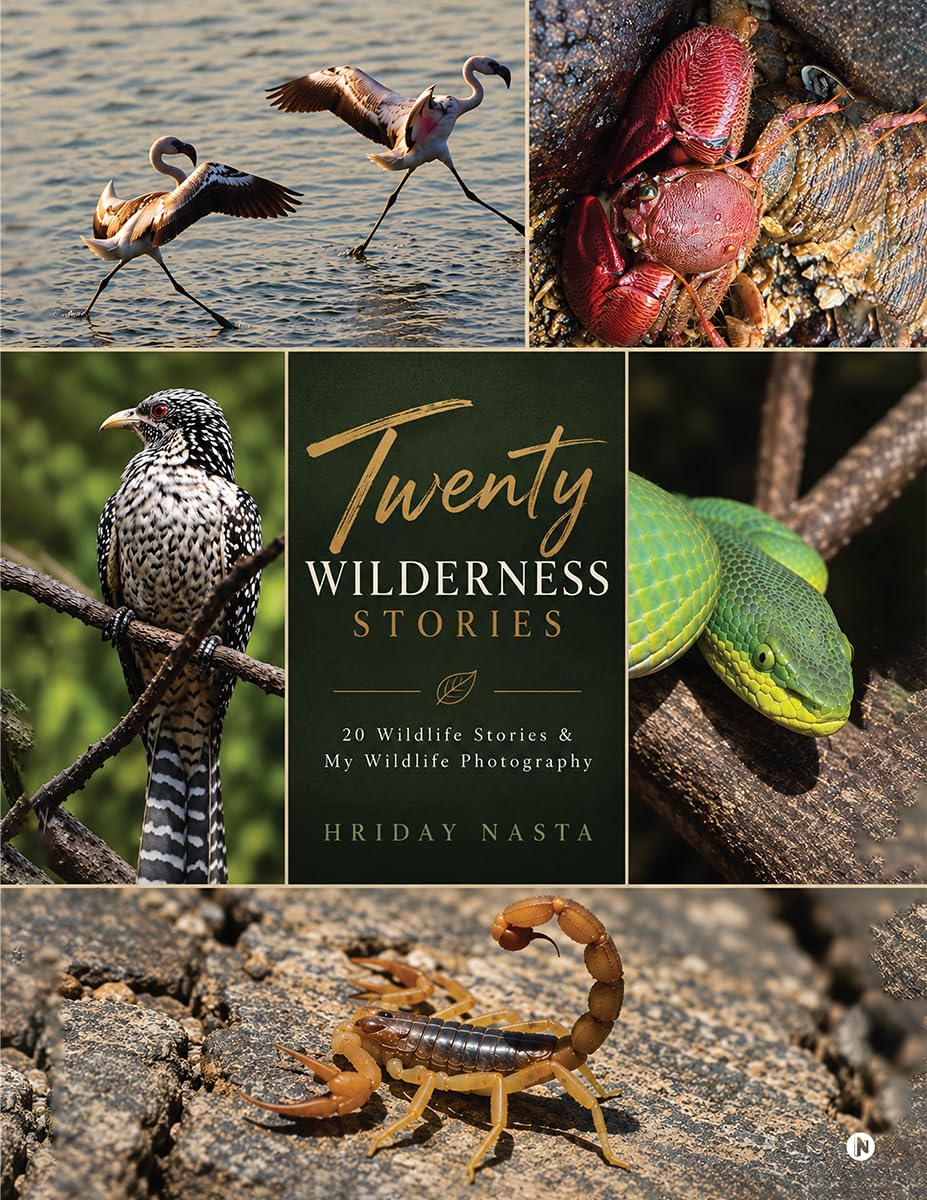 Twenty Wilderness Stories: 20 Wildlife Stories and My Wildlife Photography