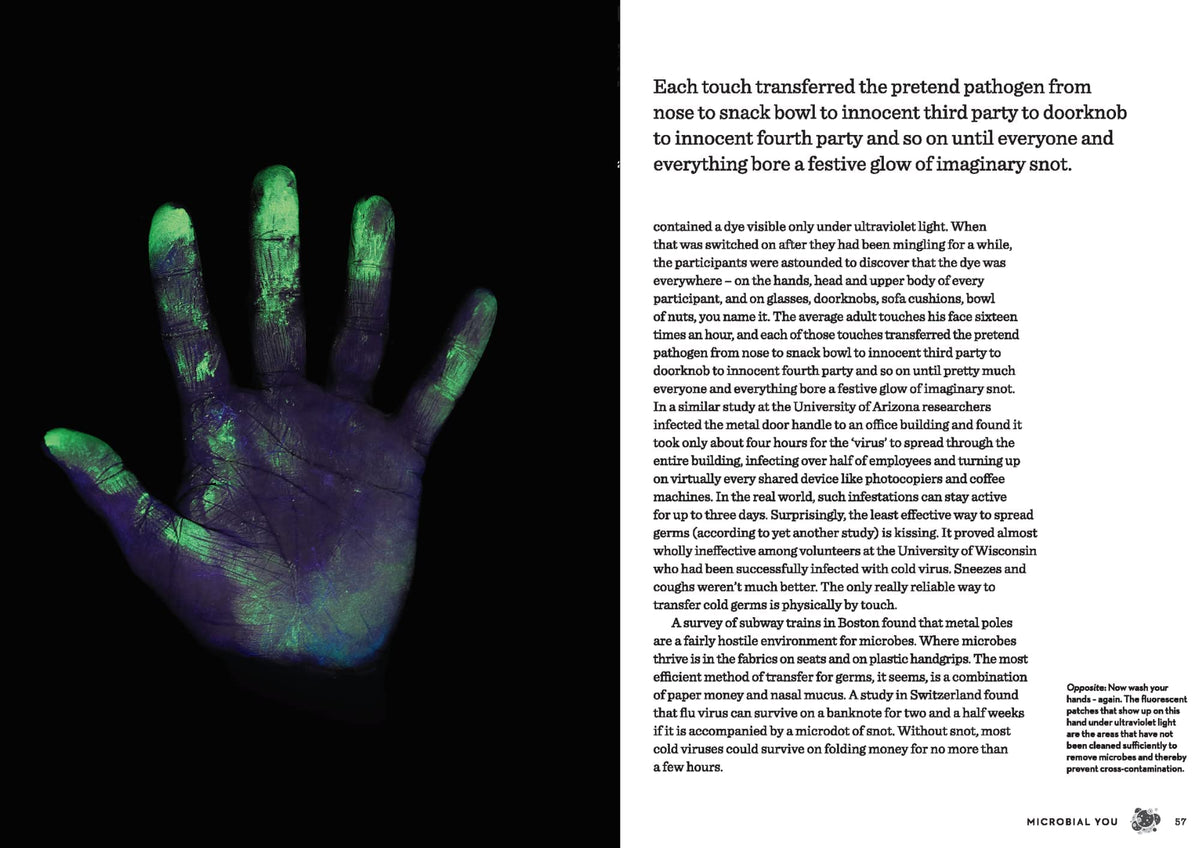 The Body Illustrated: A Guide for Occupants