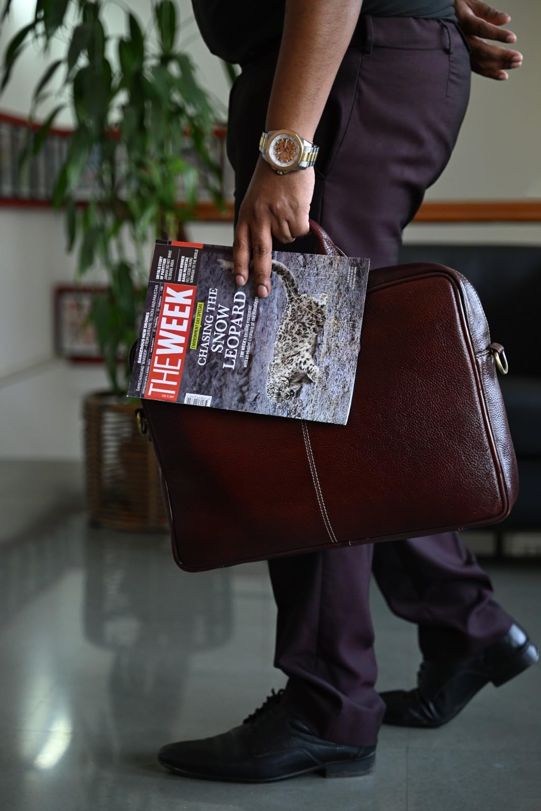 The Week Magazine Subscription – 1 Year (52 Issues, English) | Current Affairs, Politics, Business & Lifestyle