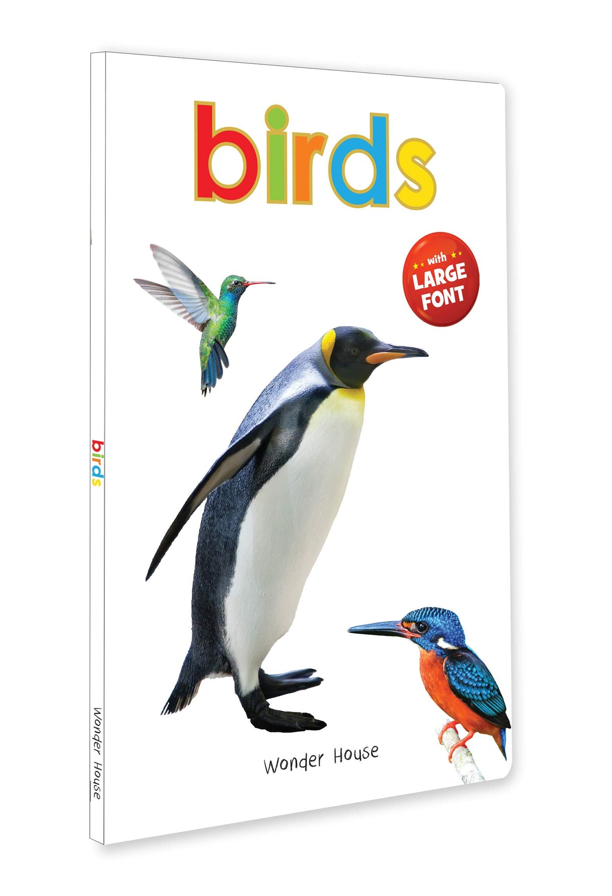 Birds – Early Learning Board Book with Large Font: Brightly Illustrated Bird Recognition Book for Kids | Big Board Books Series for Babies, Toddlers & Preschoolers | Learn About Sparrows, Parrots, Peacocks & More with Bold Text | Ages 0–5 Years