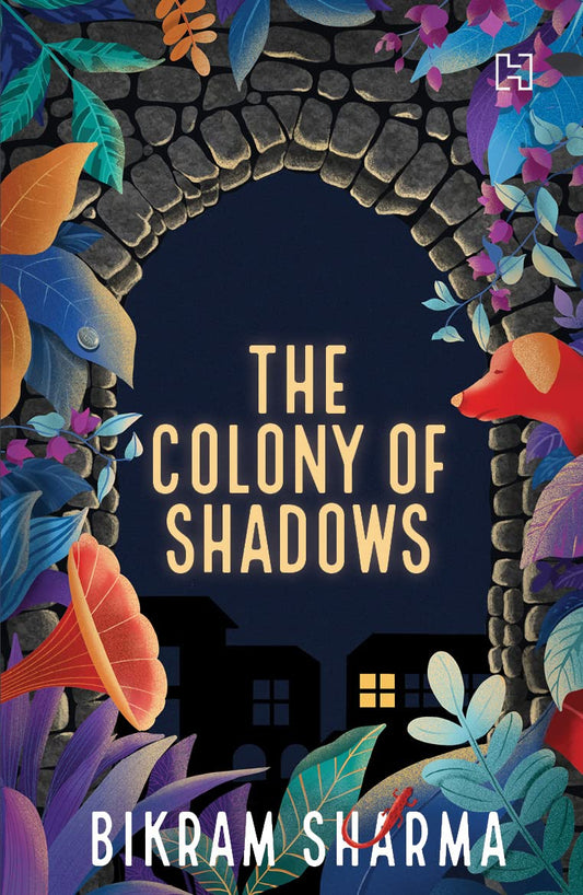 The Colony of Shadows book cover