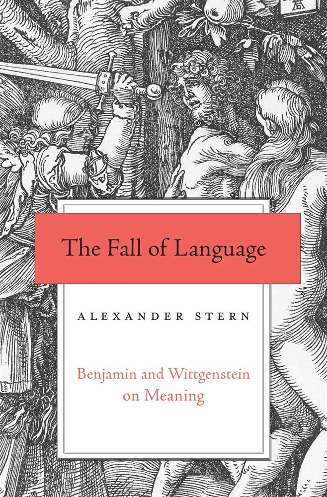 The Fall Of Language book cover