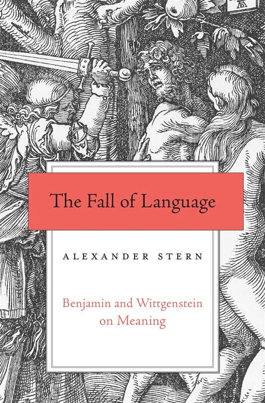 The Fall Of Language book cover