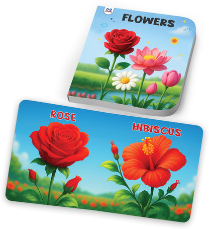 My First Library Box Set 10 Board Books | Premium Quality Kids Books for 1 Year – 4 Year Old | Early Learning Books – Alphabets, Numbers, Colours, Fruits, Flowers, Birds, Transport, Pet & Wild Animals