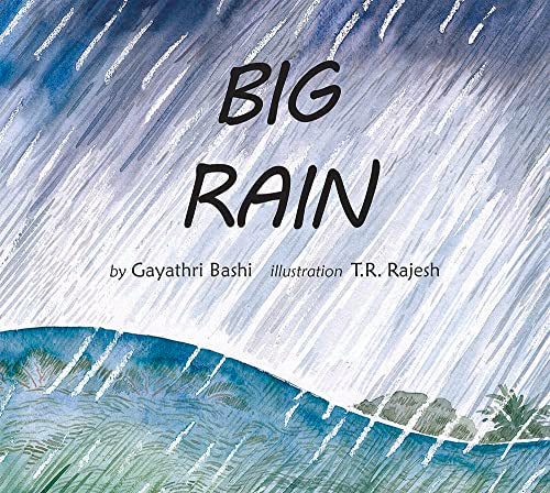 BIG RAIN - ENGLISH book cover
