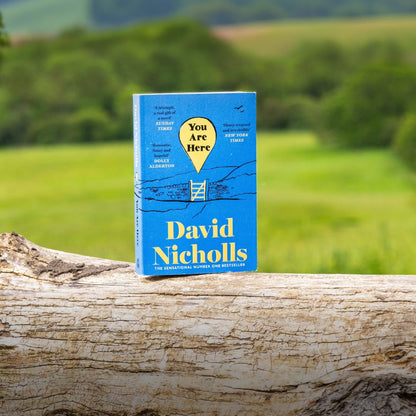 You Are Here: The number one bestselling love story from the author of One Day
