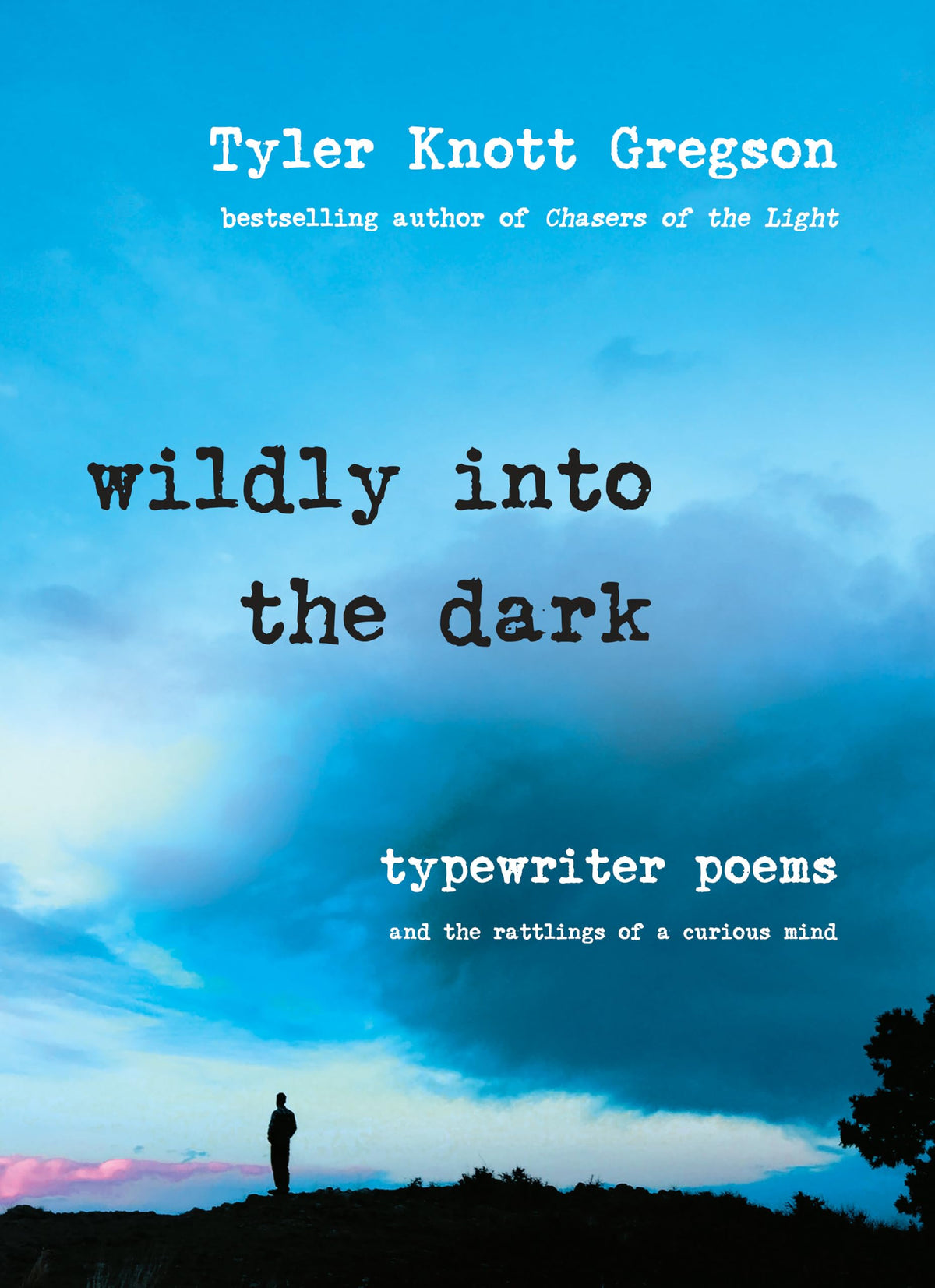 Wildly Into The Dark book cover