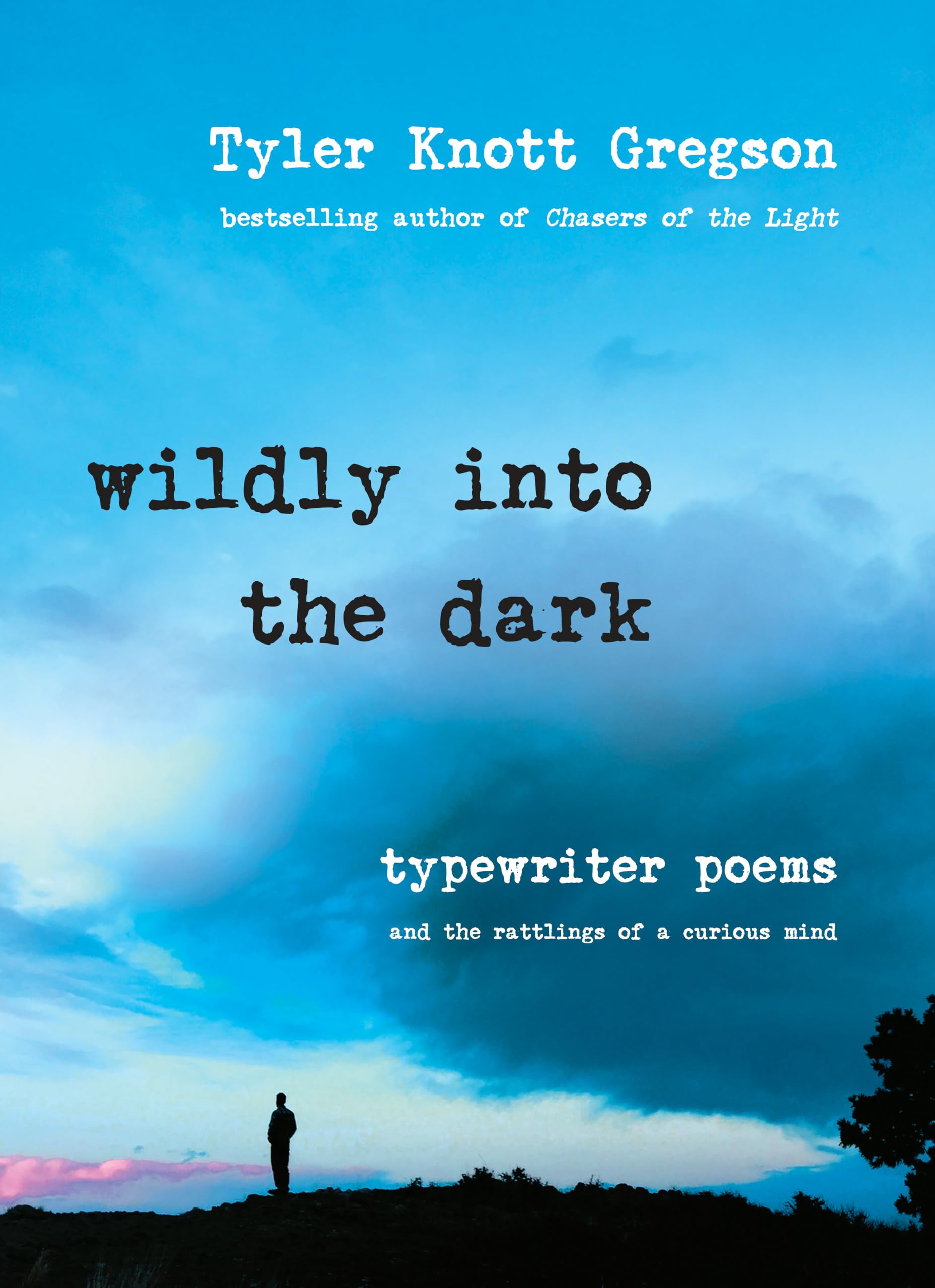 Wildly Into The Dark book cover