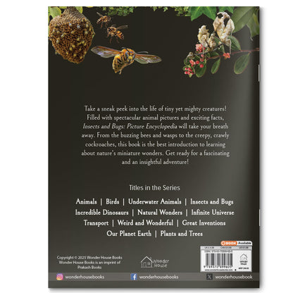 Explore Fantastic World of Insects And Bugs Picture Encyclopedia
