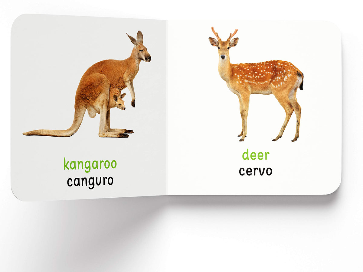 My First Book of Wild Animals - Animali Selvatici : My First English Italian Board Book (English - Italiano)