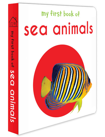 My First Book Of Sea Animals | Ages 0–3 Years | Ocean Animals | Board Book For Kids | Fish | Dolphins | Whales | Bright Pictures | Vocabulary Building | Toddlers & Preschoolers | Latest Edition