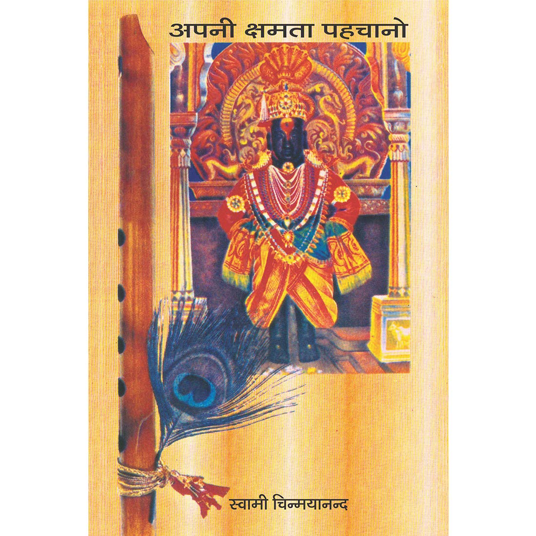 Apni Kshamata Pehachano book cover