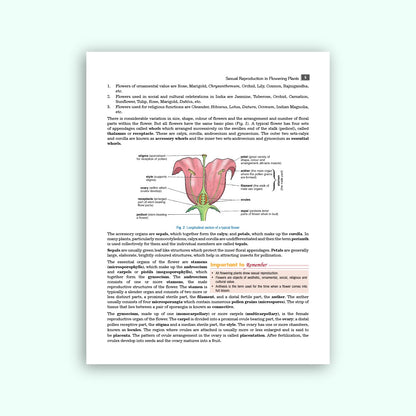 Nootan ISC Board Biology Textbook for Board Exam Class 12th (XII) Rapid Revision Sheets Mind Maps Academic Year 2026-27 - Nageen Prakashan: 1