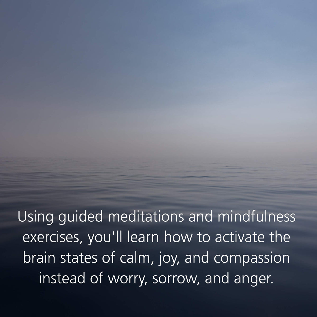 Buddha's Brain: The Practical Neuroscience of Happiness, Love & Wisdom