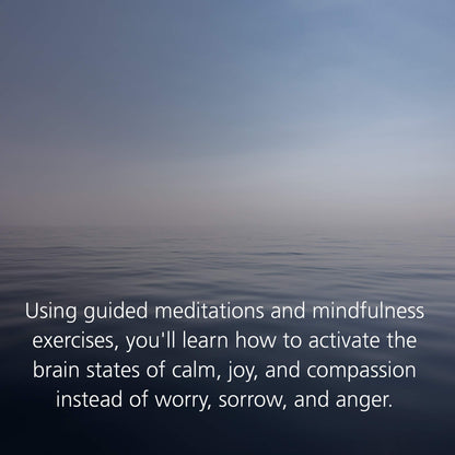 Buddha's Brain: The Practical Neuroscience of Happiness, Love & Wisdom
