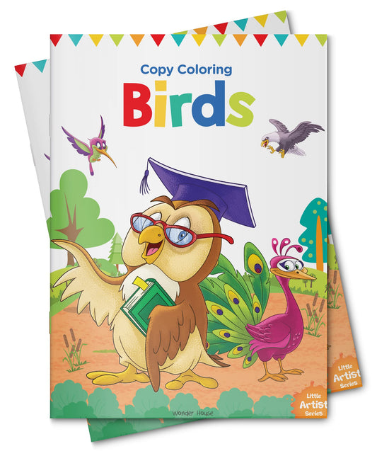 Little Artist Series Birds: Copy Colour Books book cover