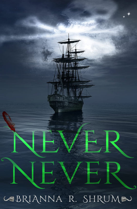 Never Never book cover