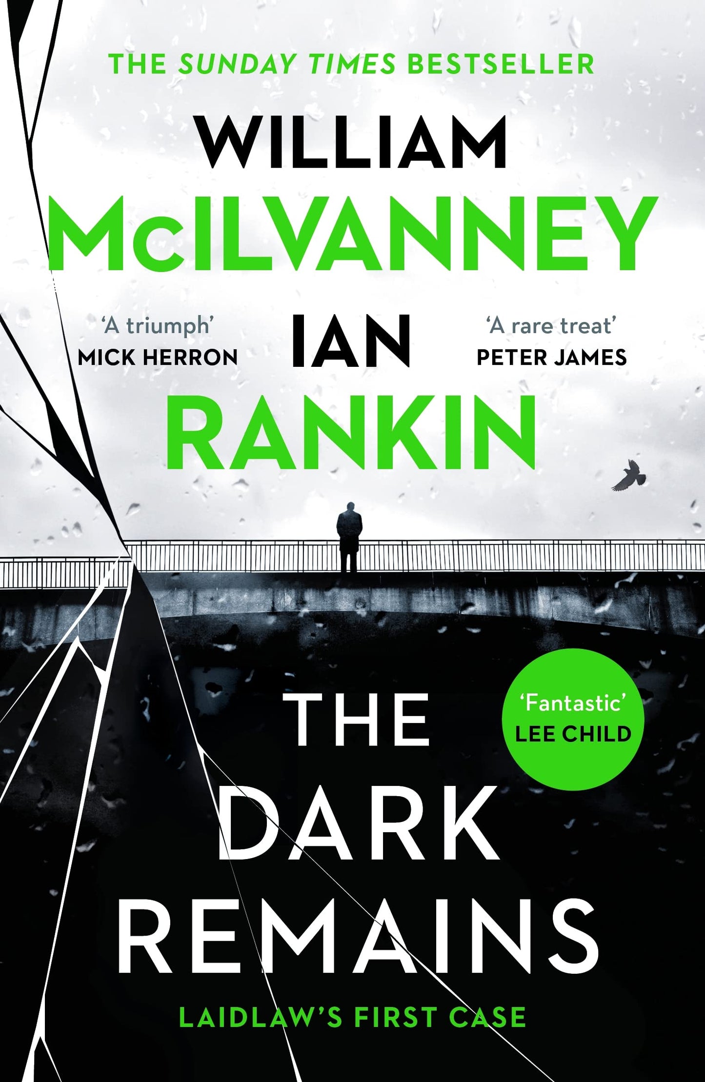 The Dark Remains: The Sunday Times Bestseller and The Crime and Thriller Book of the Year 2022 (LEAD book cover