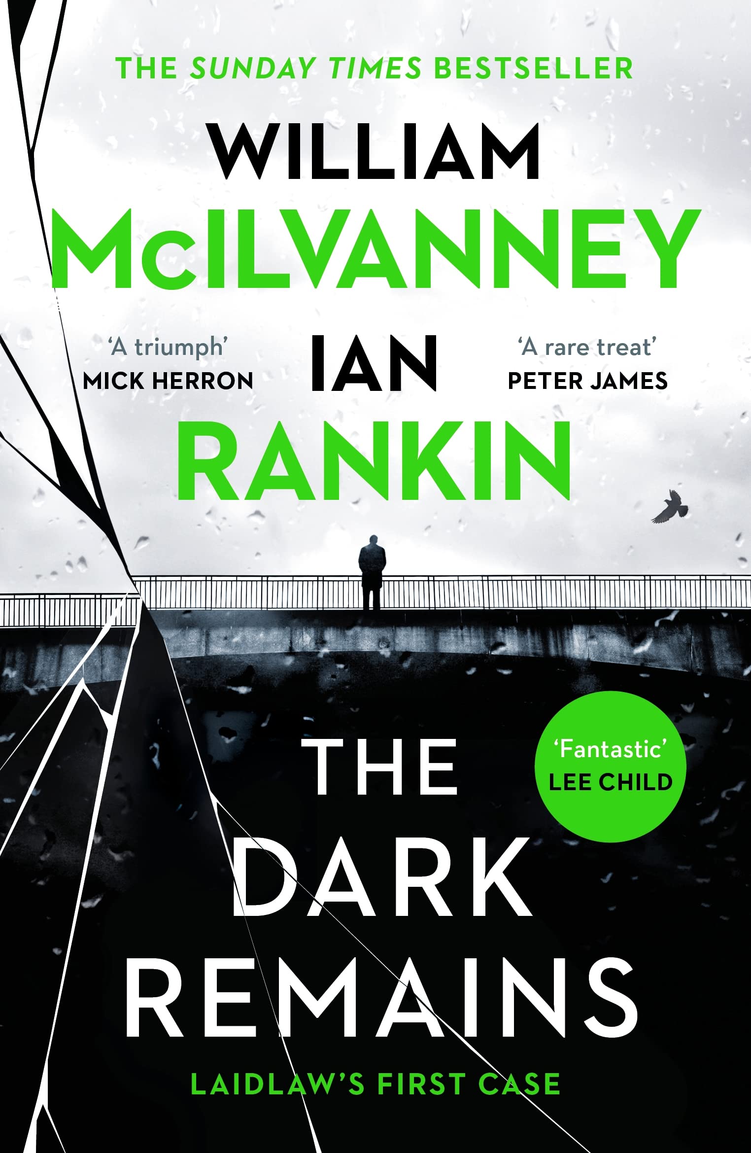 The Dark Remains: The Sunday Times Bestseller and The Crime and Thriller Book of the Year 2022 (LEAD book cover