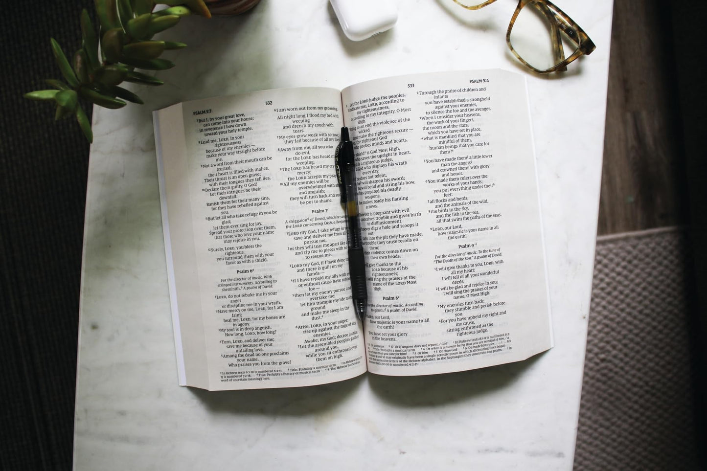 Holy Bible: New International Version