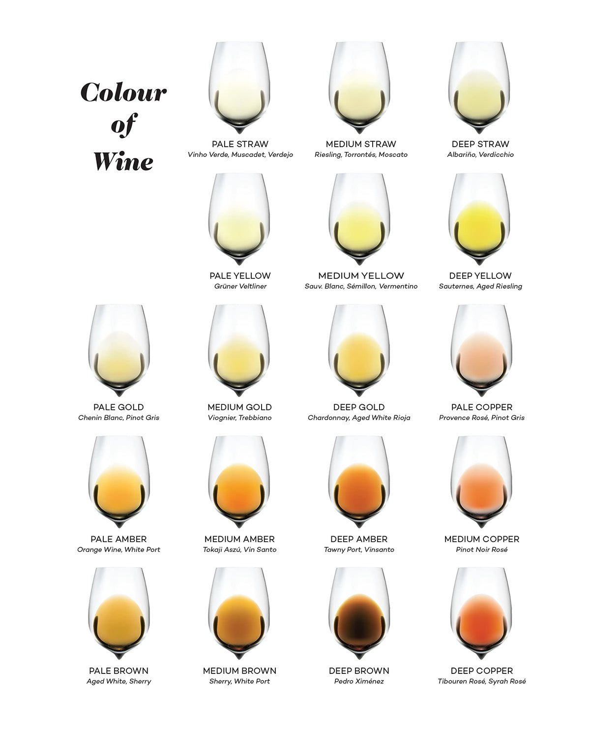 Wine Folly: Magnum Edition: The Master Guide