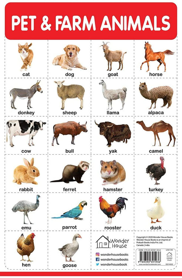 Pet And Farm Animals - My First Early Learning Wall Chart: For Preschool, Kindergarten, Nursery And