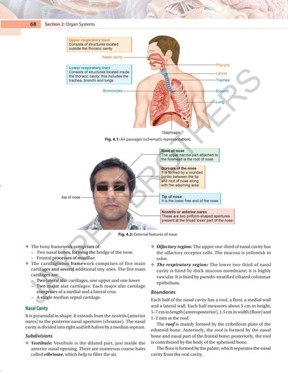 Textbook of Applied Anatomy and Physiology for Nurses, 8/E for BSc Nursing 1st Semester & GNM Students | As per Revised INC Syllabus | With Complimentary Practice Workbook and One Stop Exam Resource