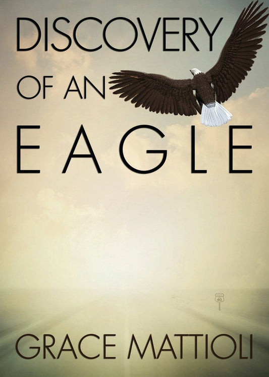 Discovery of an Eagle book cover