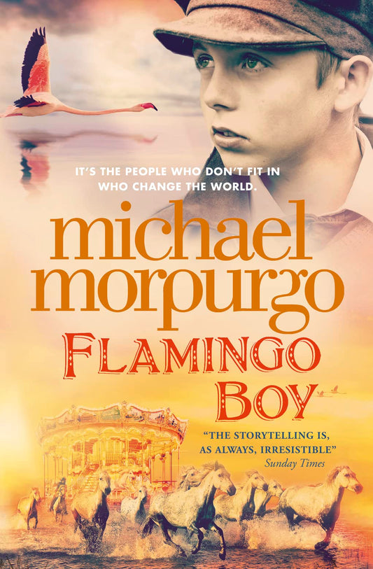FLMINGO BOY book cover