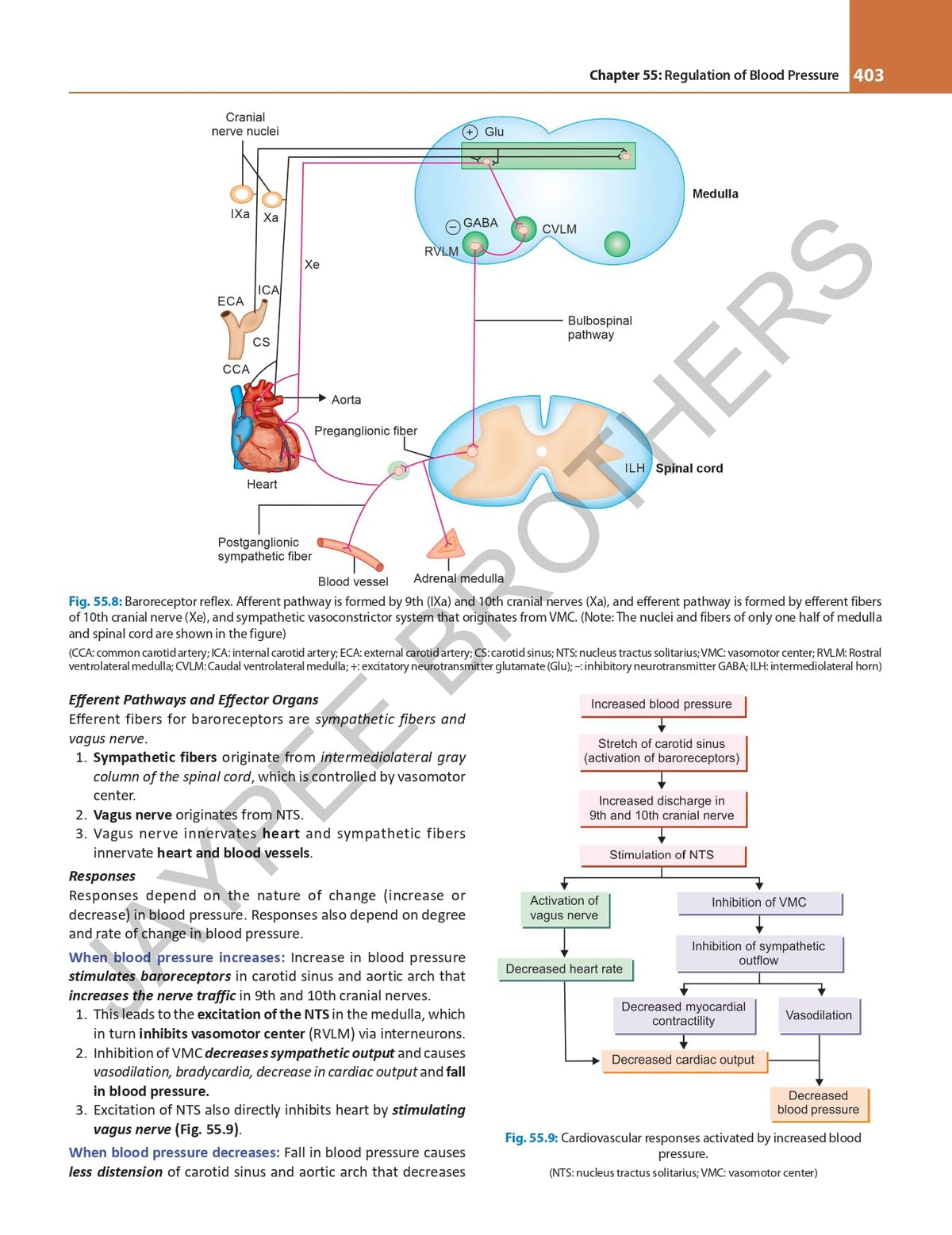 Comprehensive Textbook of Medical Physiology (2 Vol Set), 5/E for MBBS Students | Clinically Integrated Approach with 200+ Clinical Cases | Chapter Summaries, Mind Maps and PYQs via ConceptRx