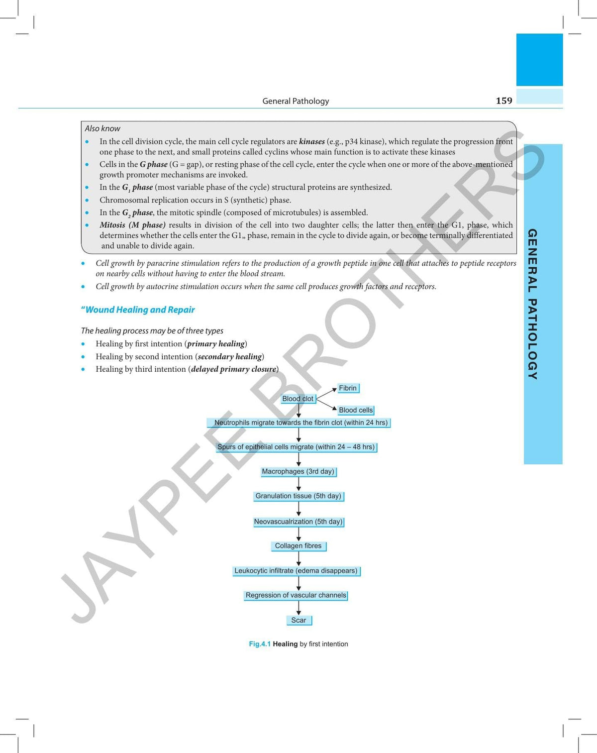 Roads:Review Of All Dental Subjects