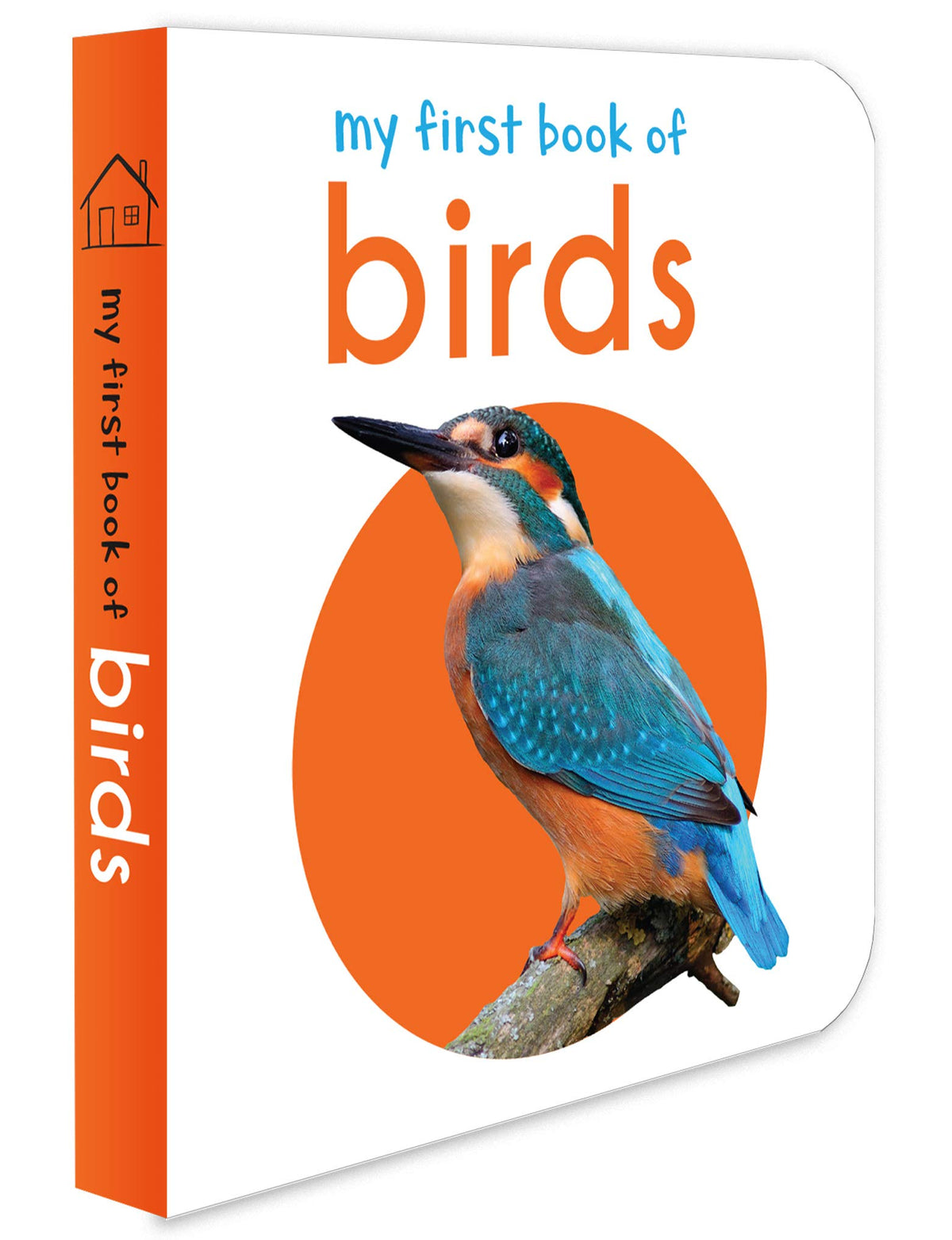 My First Book of Birds | First Birds Board Book for Babies, Toddlers & Preschoolers | Learn About Common Birds with Bright and Realistic Pictures | Early Learning Book for Kids Ages 0-3 Years