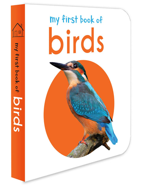 My First Book of Birds | First Birds Board Book for Babies, Toddlers & Preschoolers | Learn About Common Birds with Bright and Realistic Pictures | Early Learning Book for Kids Ages 0-3 Years