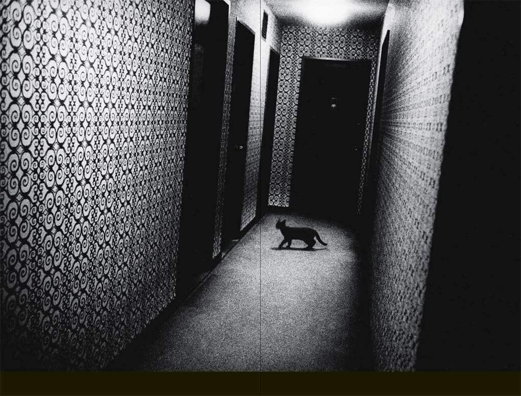 Daido Moriyama (Photofile)