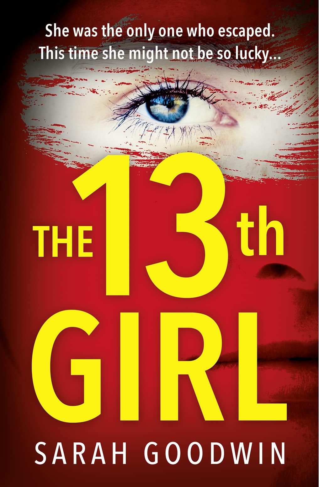 THE THIRTEENTH GIRL book cover