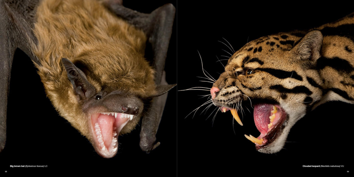 National Geographic The Photo Ark: One Man's Quest to Document the World's Animals