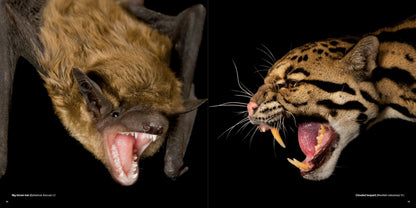 National Geographic The Photo Ark: One Man's Quest to Document the World's Animals