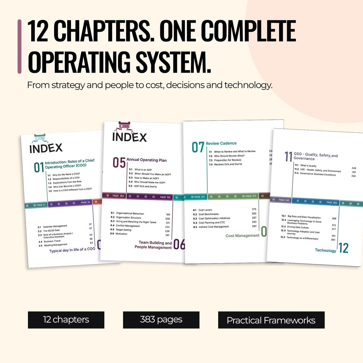 The COO Playbook: How COOs Think, Plan, Execute, and Lead Teams | Operations Management, Business Strategy, Leadership, Process Improvement, ... & Executive Management (Zebra Learn)
