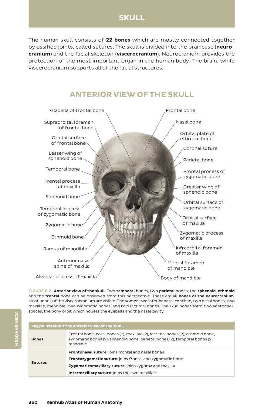 Kenhub Atlas of Human Anatomy