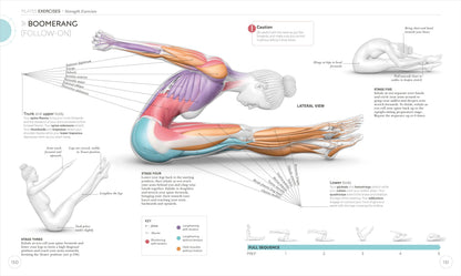 Science of Pilates: Understand the Anatomy and Physiology to Perfect Your Practice