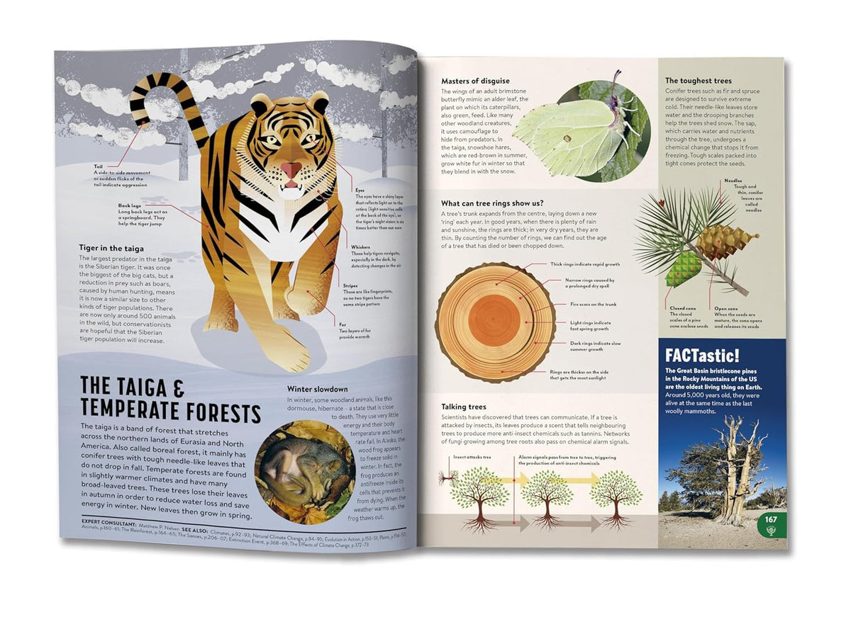 Britannica All New Children’s Encyclopedia