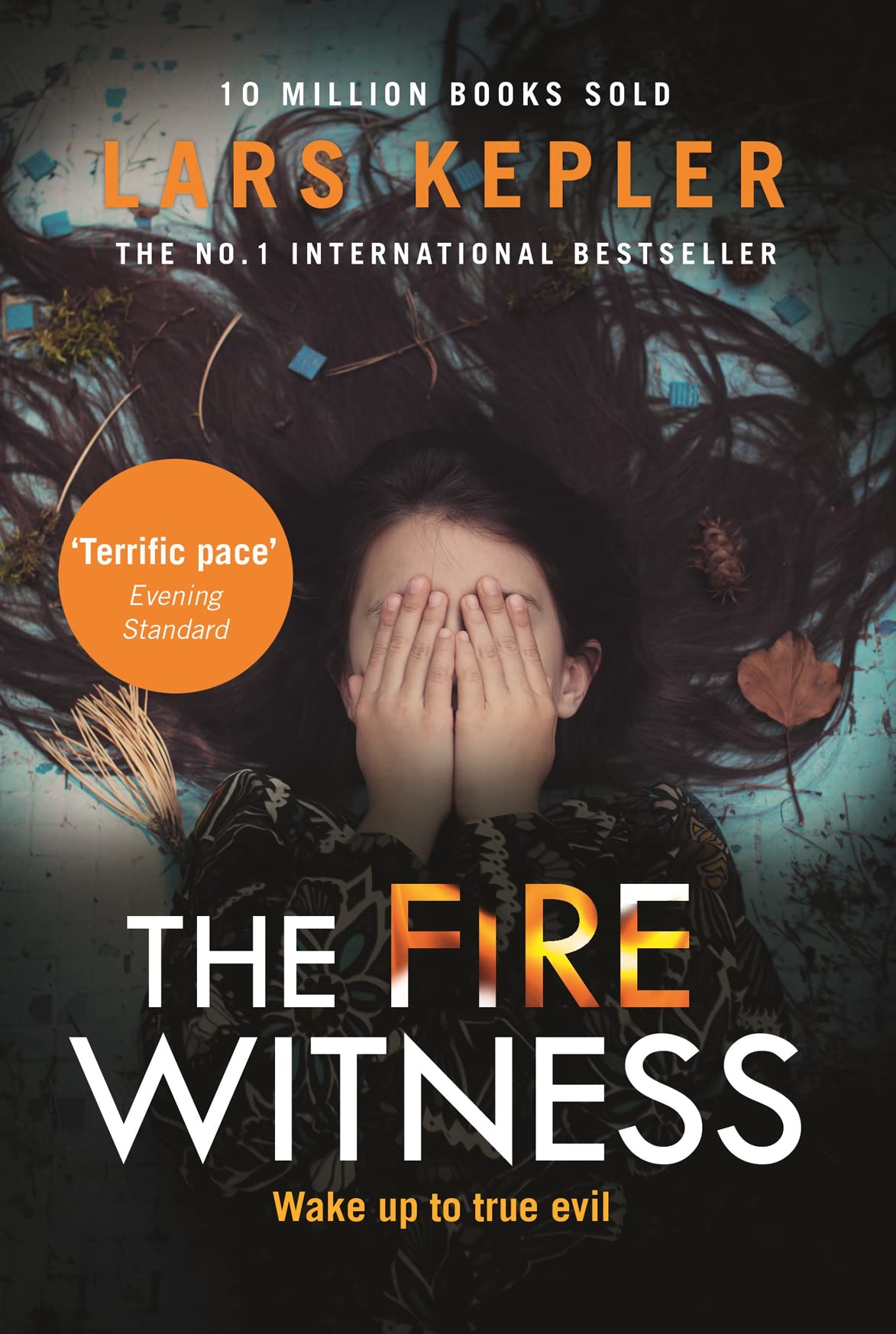 The Fire Witness book cover