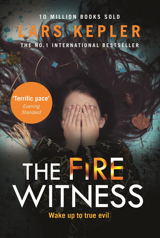 The Fire Witness book cover