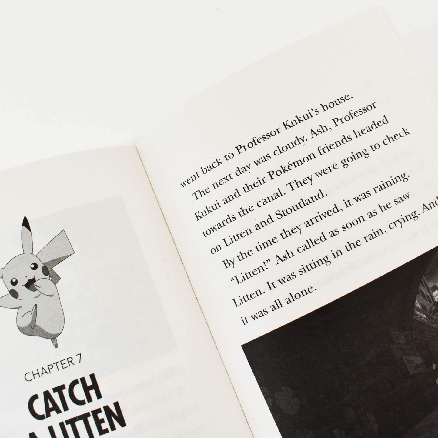 Pokemon Ultimate Book Collection Series - 1-15 Box Set 