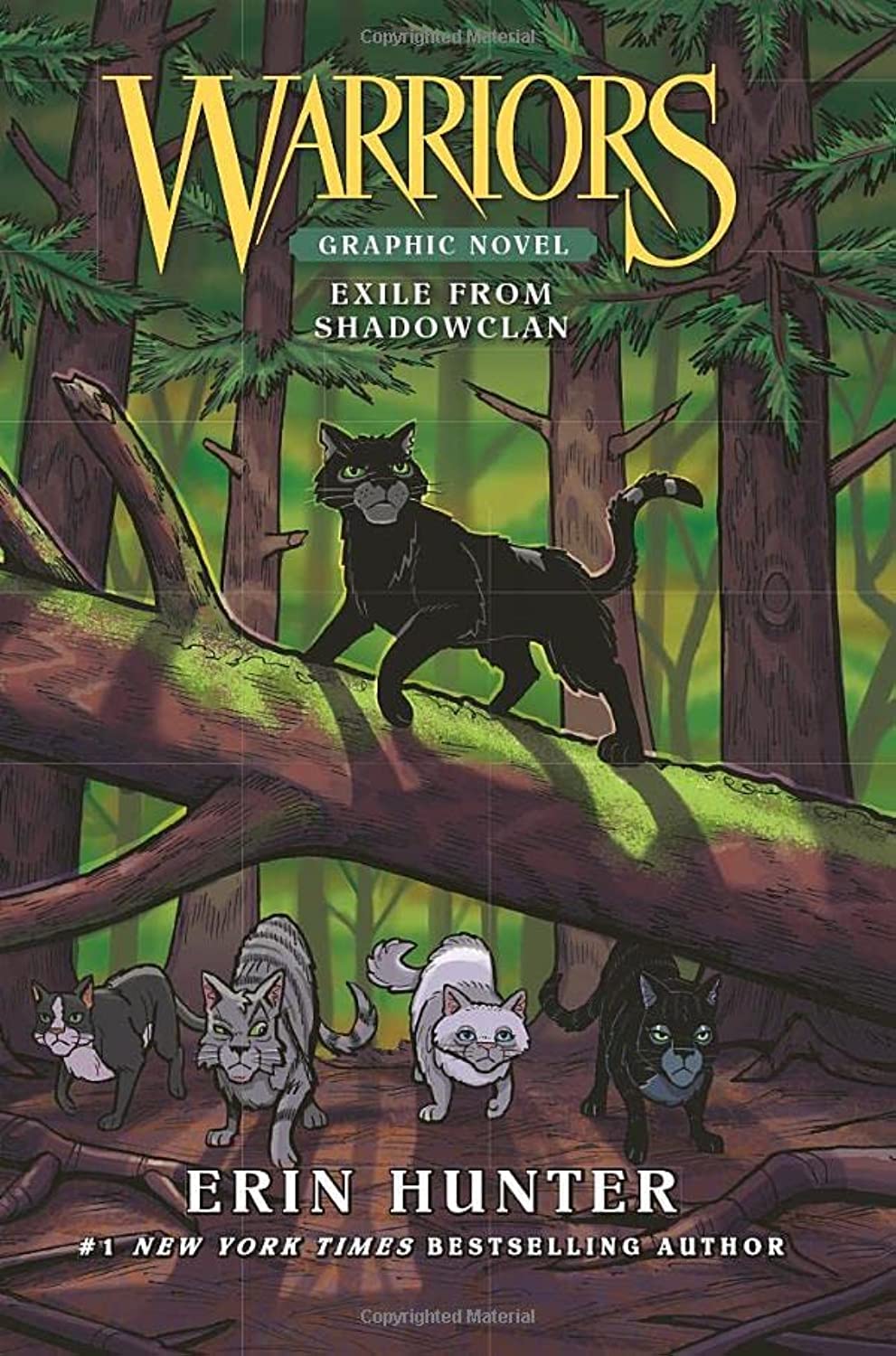 WARRIORS: EXILE FROM SHADOWCLAN book cover